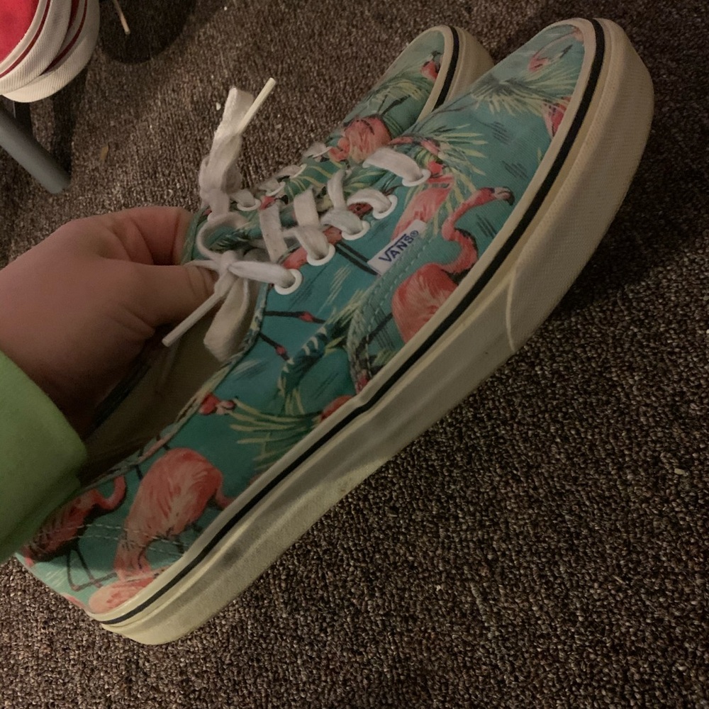 Flamingo Vans